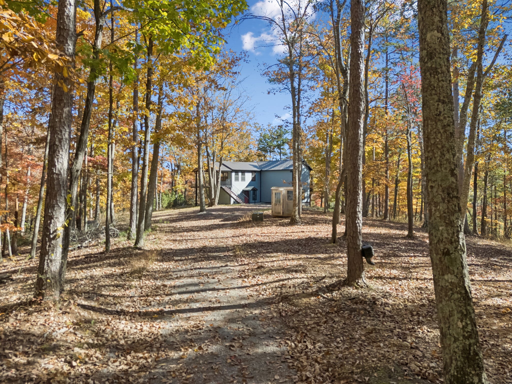 1529 Pea Ridge Road Liberty, TN 37095 - Photo 46 of 53 a view of a yard with plants and trees