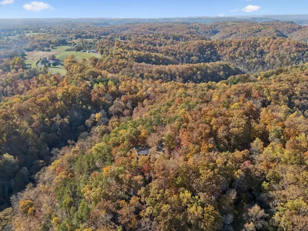 an aerial view of mountain with trees