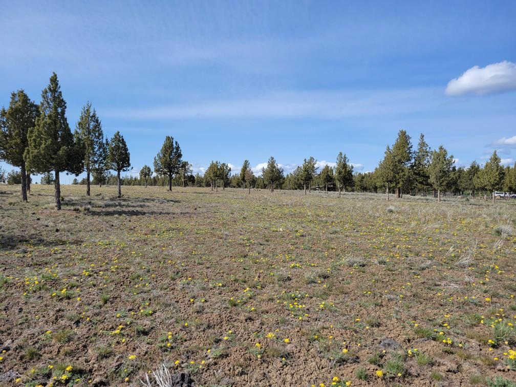 11700 Southeast Riordan Road Prineville, OR 97754 - Photo 2 of 7 Resized_20220426_153938