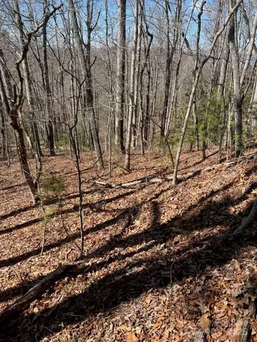 a backyard of a house with a yard