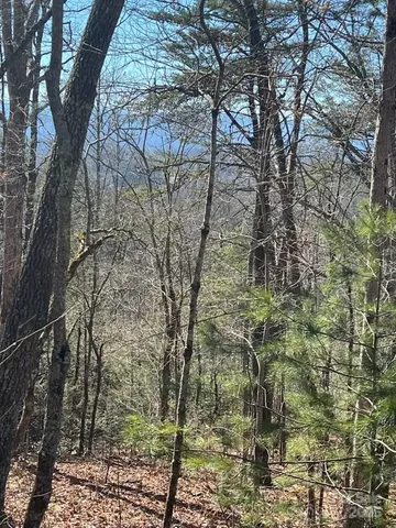 a view of house with trees