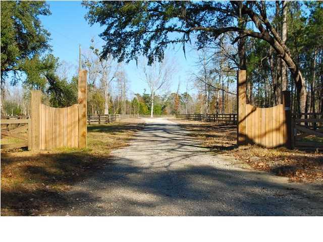 10 County Line Road Ravenel, SC 29470 - Photo 1 of 24 Primary Photo