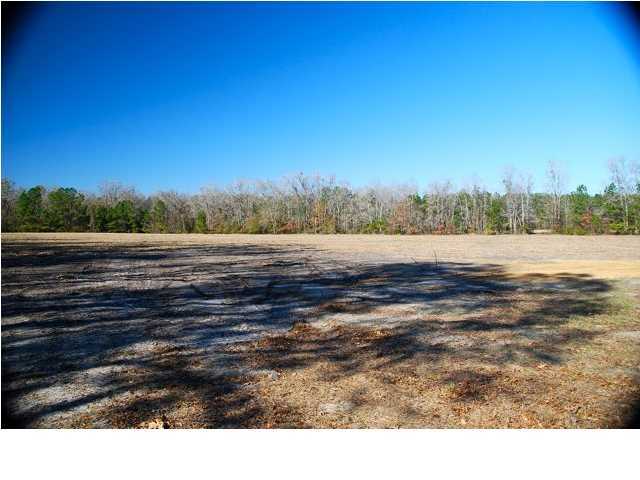 10 County Line Road Ravenel, SC 29470 - Photo 2 of 24 Additional Photo