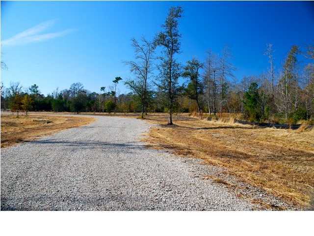 10 County Line Road Ravenel, SC 29470 - Photo 11 of 24 Additional Photo