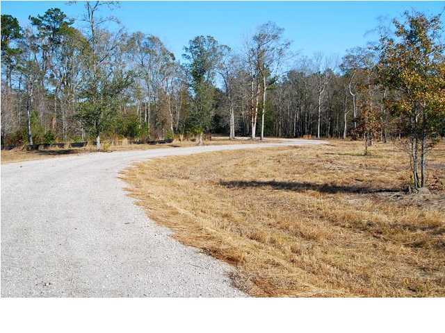 10 County Line Road Ravenel, SC 29470 - Photo 12 of 24 Additional Photo