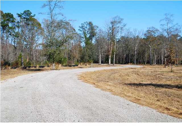 10 County Line Road Ravenel, SC 29470 - Photo 13 of 24 Additional Photo