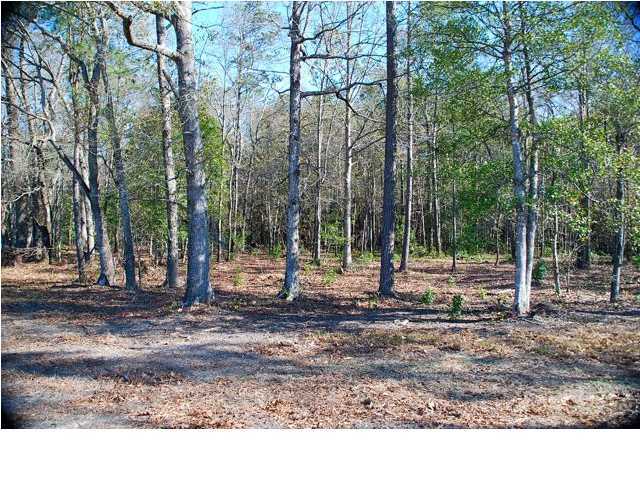 10 County Line Road Ravenel, SC 29470 - Photo 3 of 24 Additional Photo