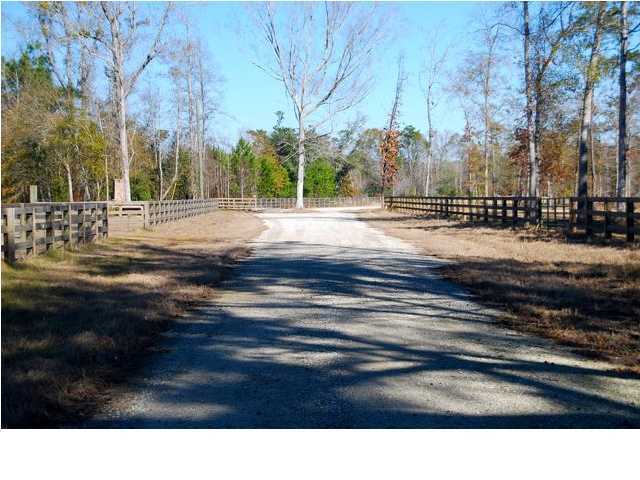 10 County Line Road Ravenel, SC 29470 - Photo 21 of 24 Additional Photo