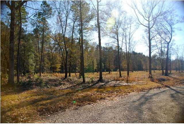 10 County Line Road Ravenel, SC 29470 - Photo 4 of 24 Additional Photo