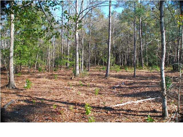 10 County Line Road Ravenel, SC 29470 - Photo 5 of 24 Additional Photo