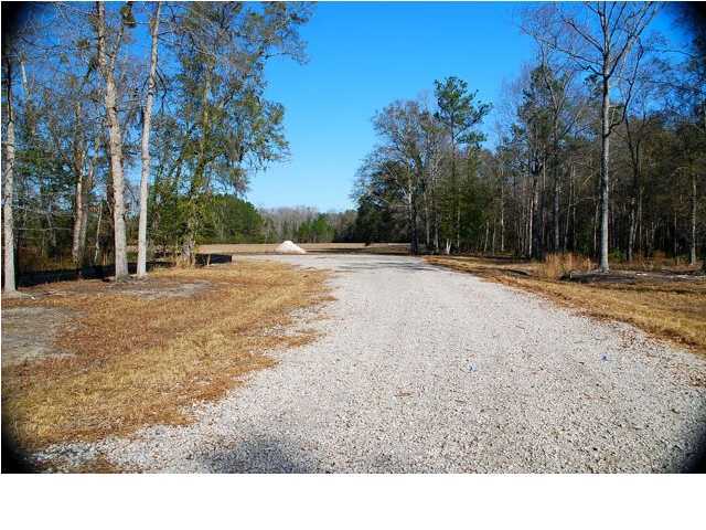 10 County Line Road Ravenel, SC 29470 - Photo 9 of 24 Additional Photo