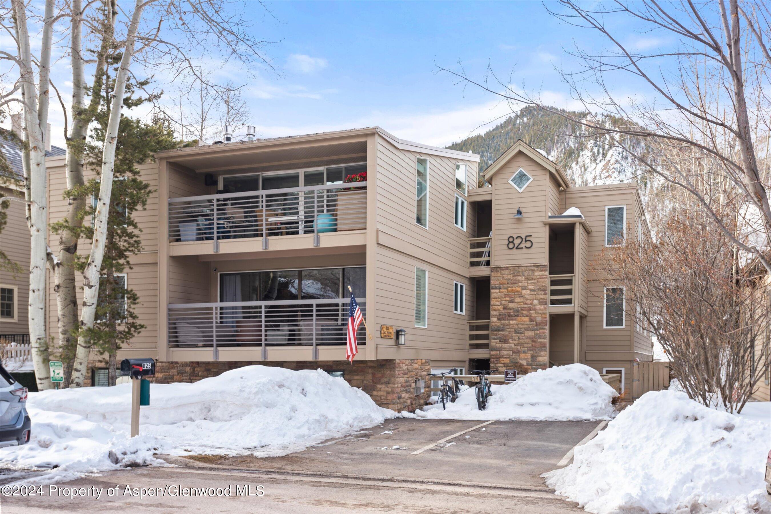 825 East Hopkins Avenue, Unit 1N Aspen, CO 81611 - Photo 14 of 16 a view of a house with a snow in the background
