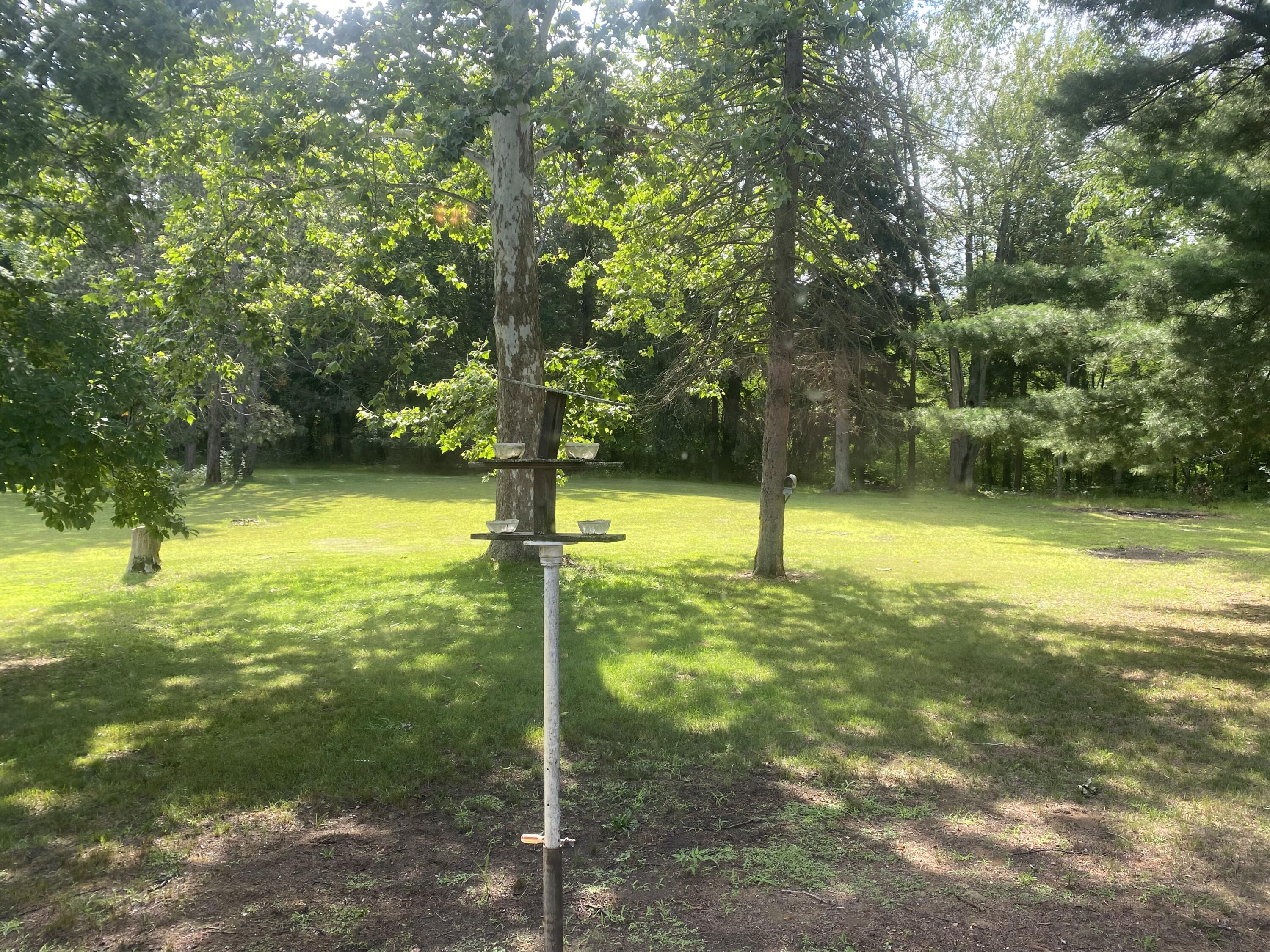4544 North County Line Road Watervliet, MI 49098 - Photo 25 of 45 IMG_3509
