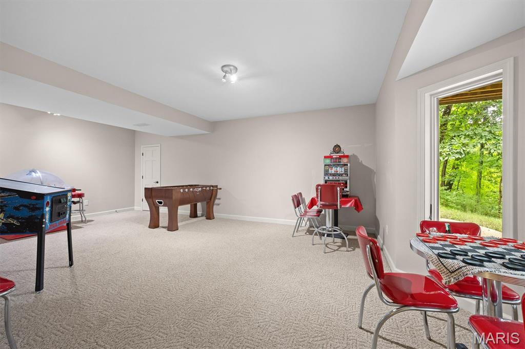 694 Pleasant Ridge Road Fairview Heights, IL 62208 - Photo 38 of 59