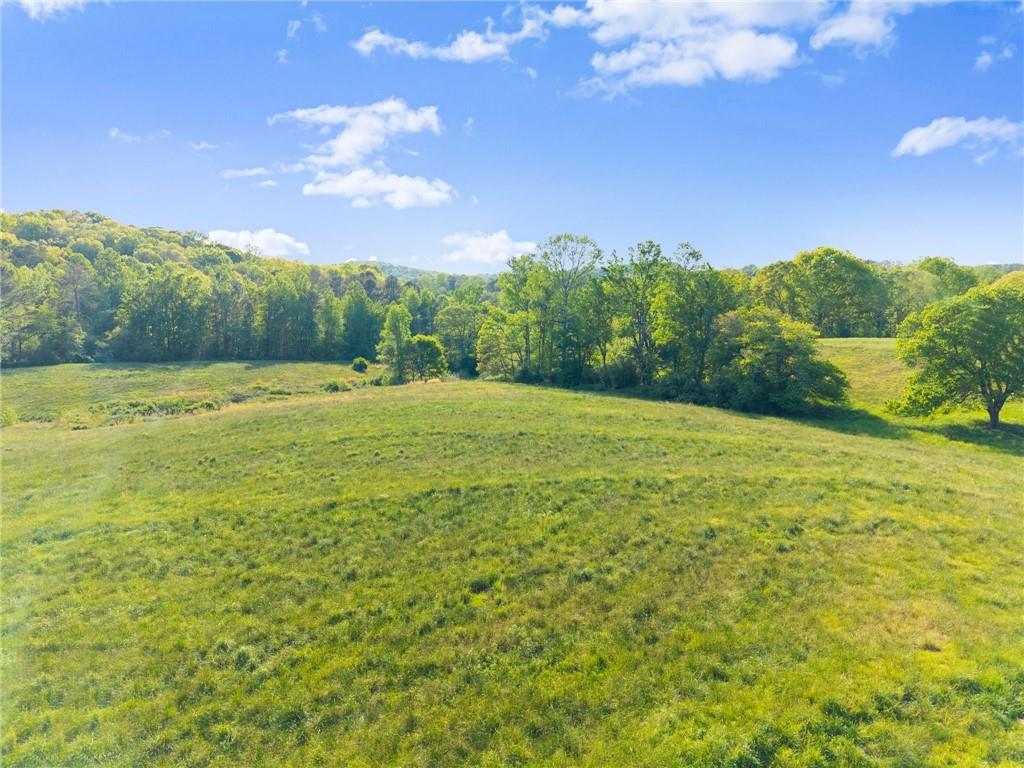 5760 Kanady Road Murrayville, GA 30564 - Photo 108 of 117