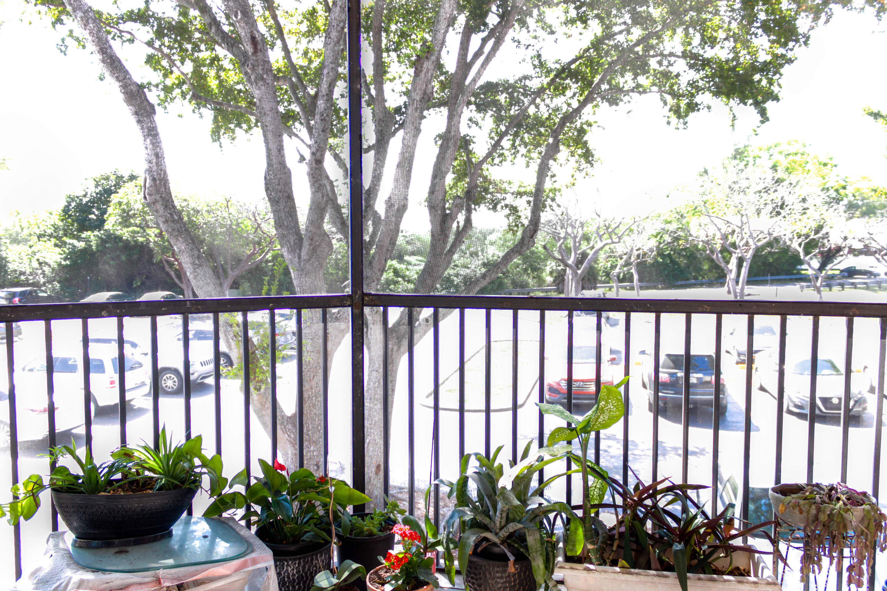 3410 Foxcroft Road, Unit 201 Miramar, FL 33025 - Photo 4 of 16 pic16-3