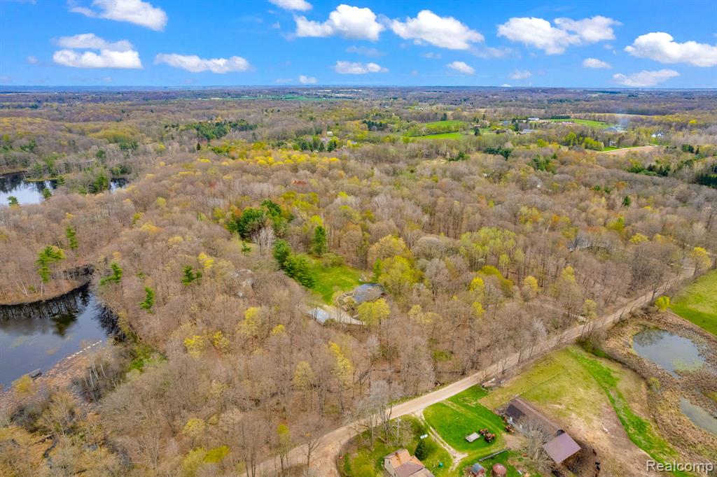 0 Hagerman Road Leonard, MI 48367 - Photo 6 of 13