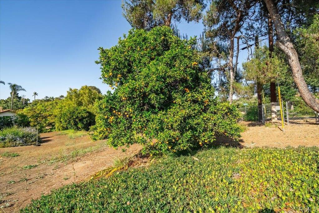 1960 Elevado Road Vista, CA 92084 - Photo 66 of 76