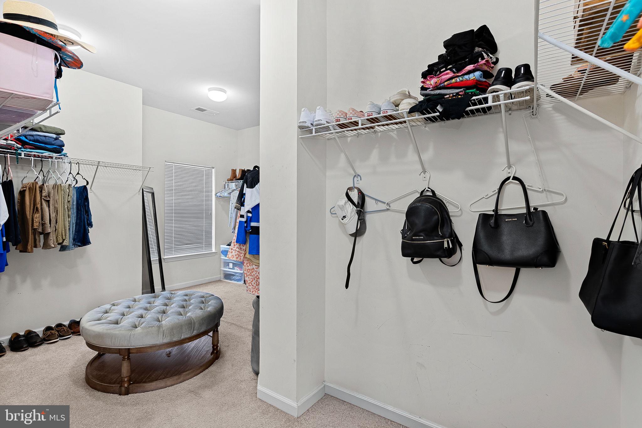 110 Setting Sun Court Stephenson, VA 22656 - Photo 42 of 72 Primary walk-in closet