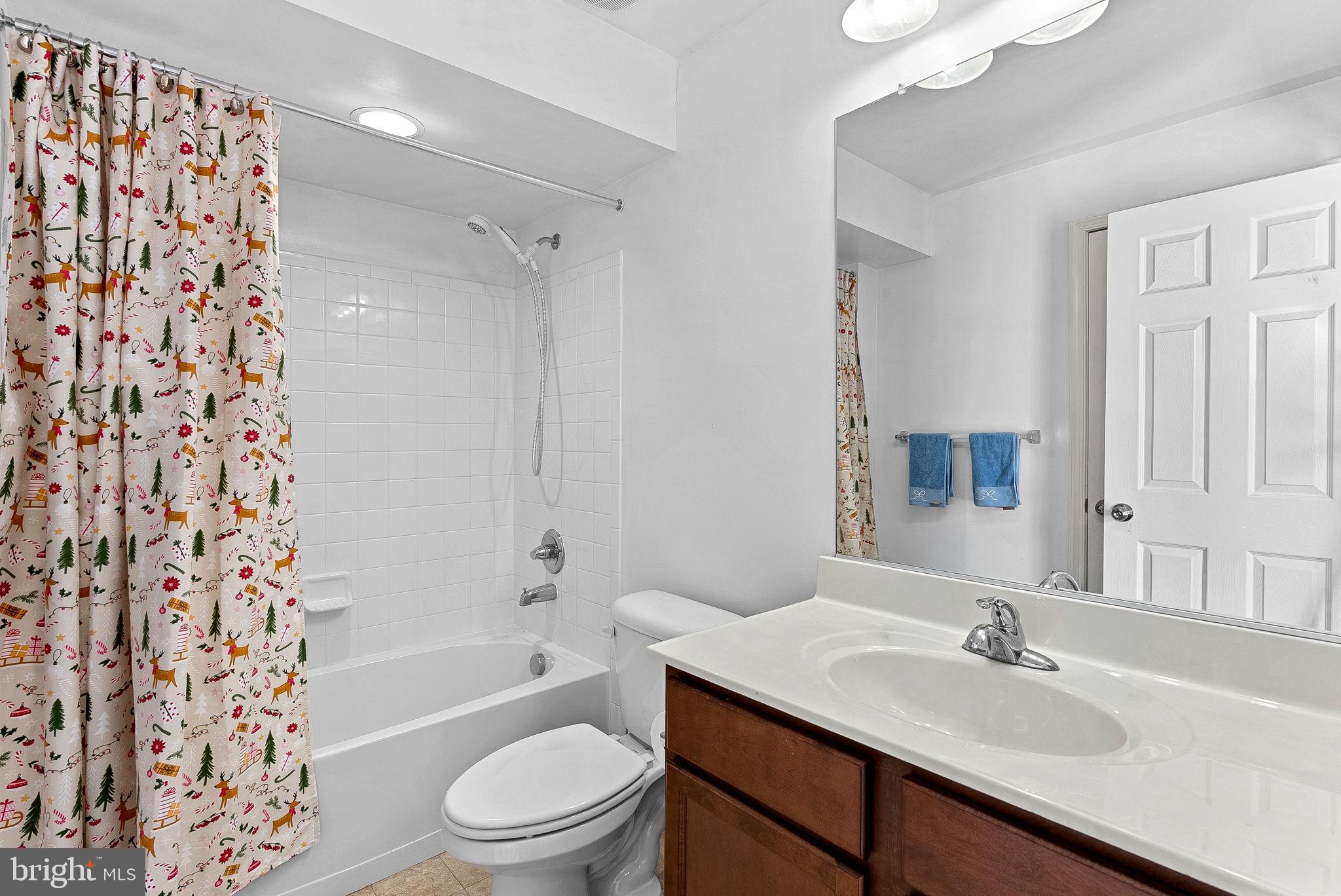 110 Setting Sun Court Stephenson, VA 22656 - Photo 59 of 72 Basement full bath