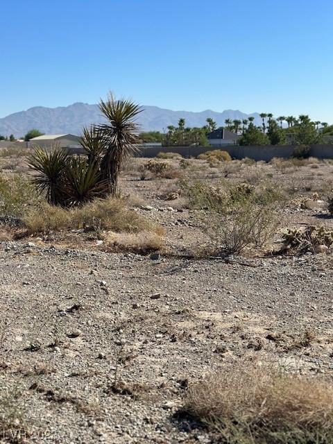 Dapple Grey Las Vegas, NV 89149 - Photo 8 of 10