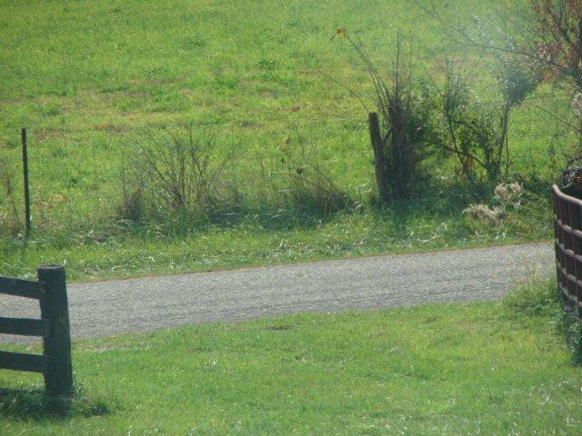 0 East Ralph Parks Road Richmond, KY 40475 - Photo 1 of 37 Photo 1