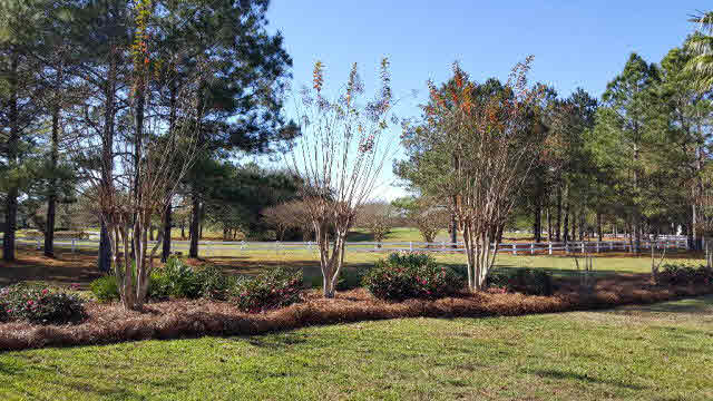 100 Craigend Loop Gulf Shores, AL 36542 - Photo 5 of 39
