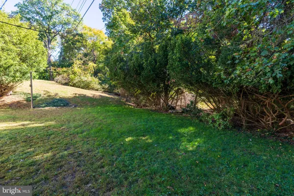a view of a trees with a yard