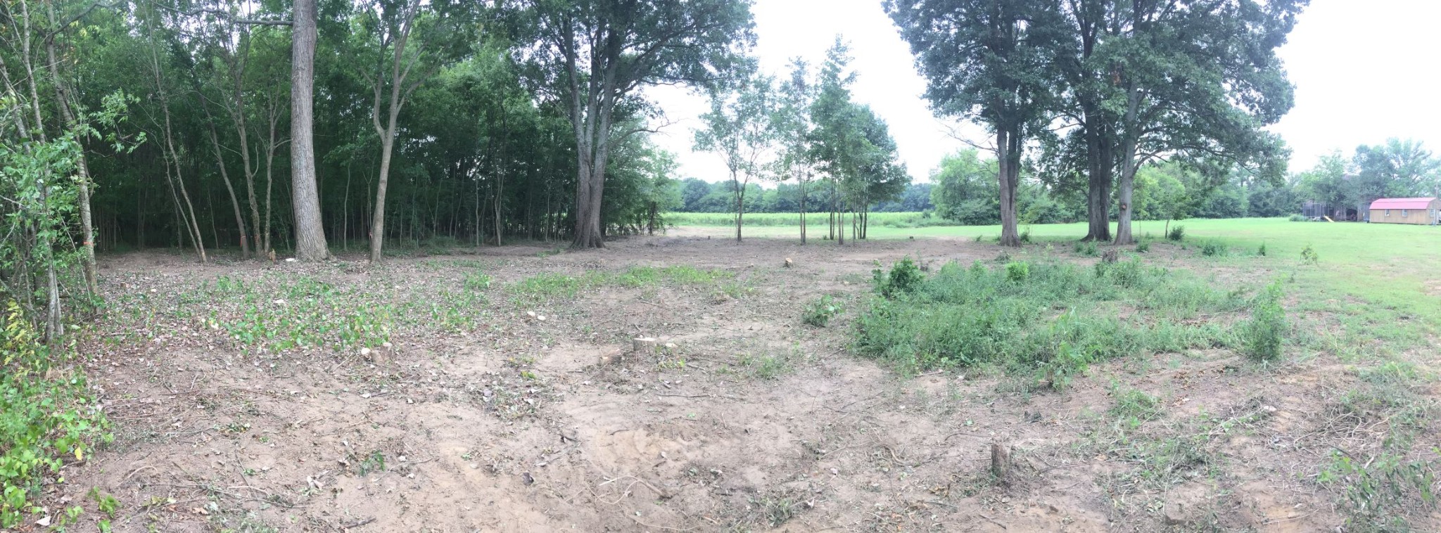 3388 Midland Road Bell Buckle, TN 37020 - Photo 5 of 10 a view of outdoor space and yard