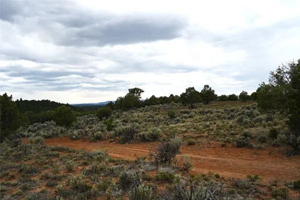 $480,000 | 0 Nm Sr 112, Tierra Amarilla, NM 87575