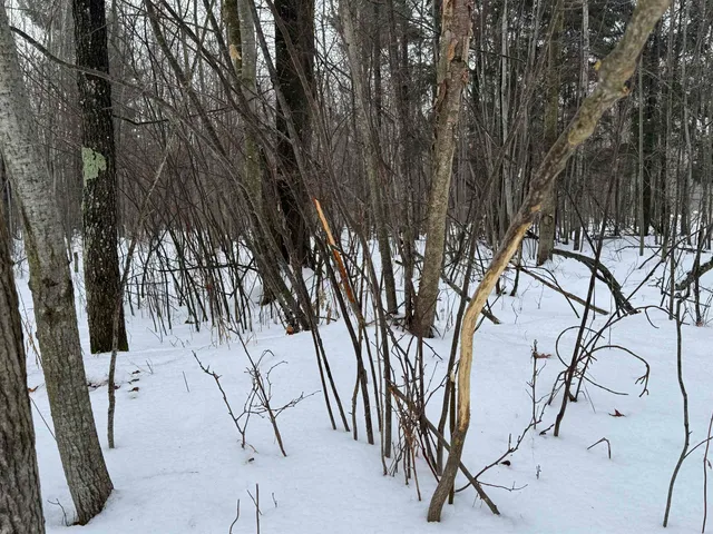 $1,250,000 | 4400 North Deer Lane, Mosinee, WI 54455