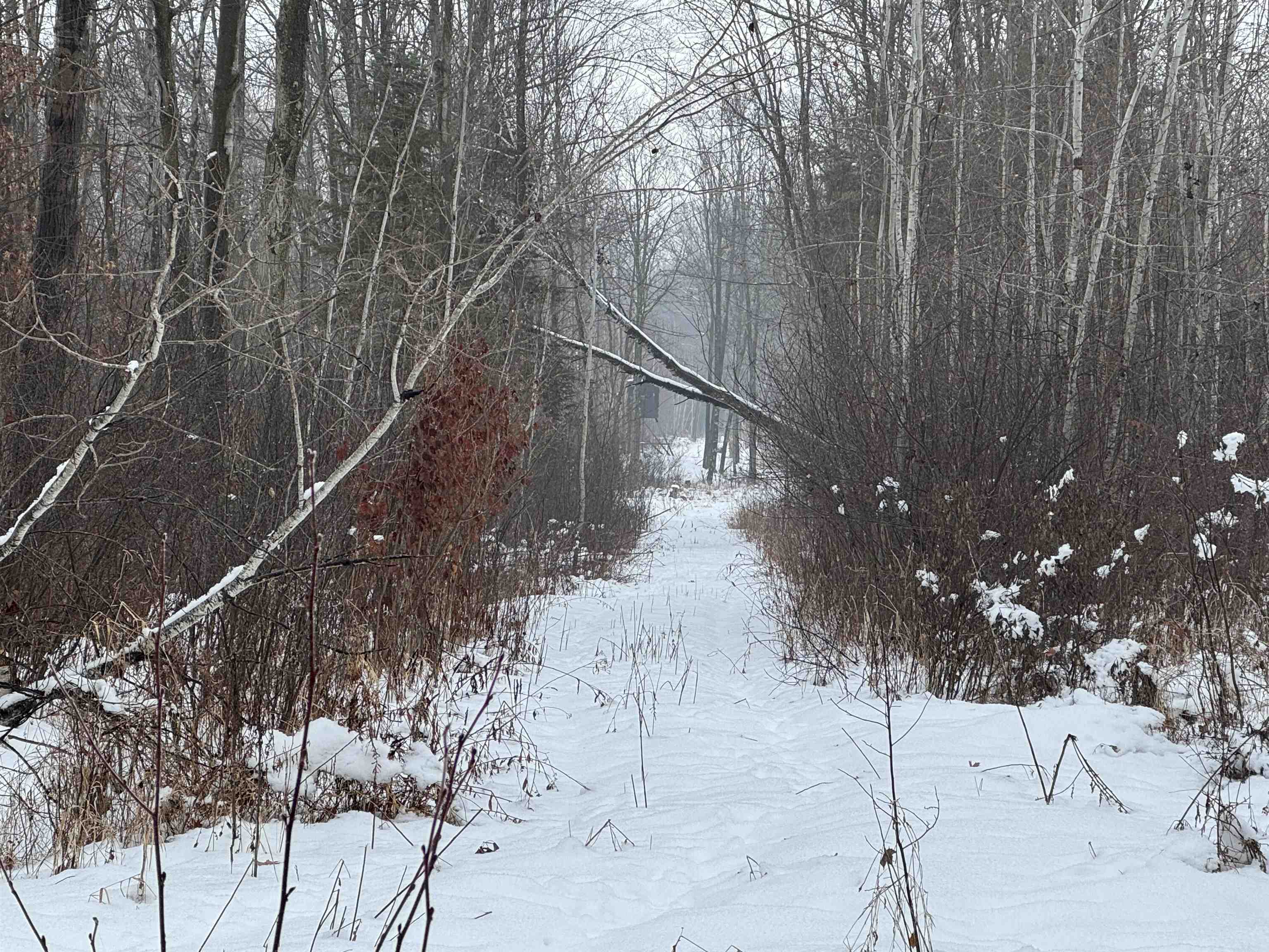 4400 North Deer Lane Mosinee, WI 54455 - Photo 15 of 79