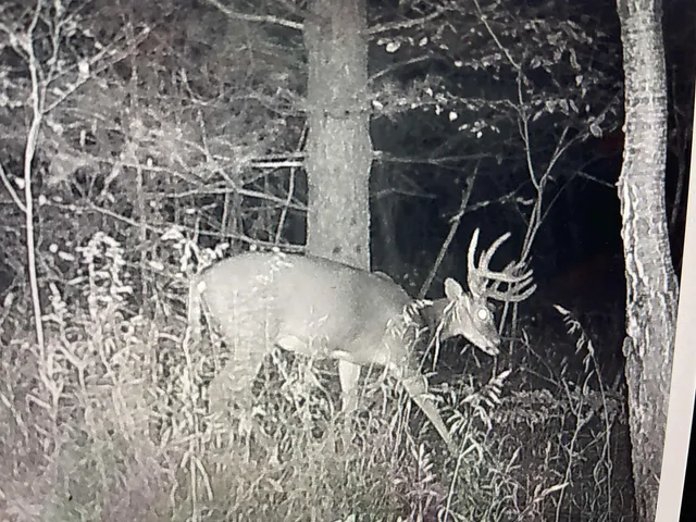 $1,250,000 | 4400 North Deer Lane, Mosinee, WI 54455