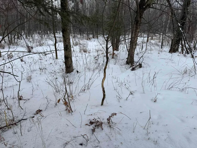 $1,250,000 | 4400 North Deer Lane, Mosinee, WI 54455