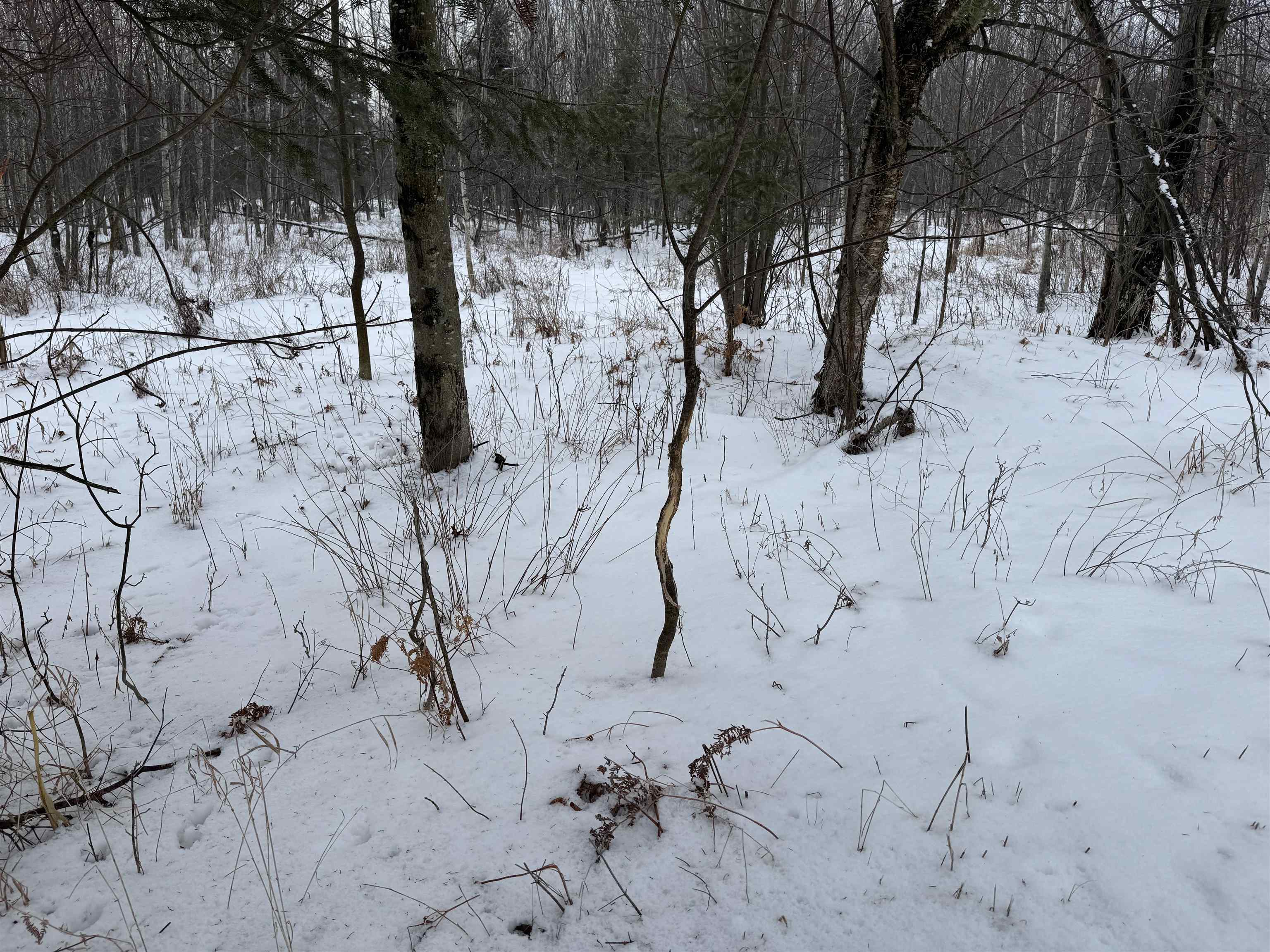 4400 North Deer Lane Mosinee, WI 54455 - Photo 22 of 79