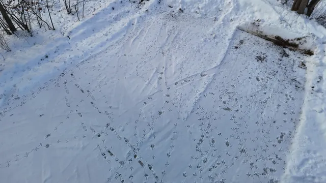 $1,250,000 | 4400 North Deer Lane, Mosinee, WI 54455