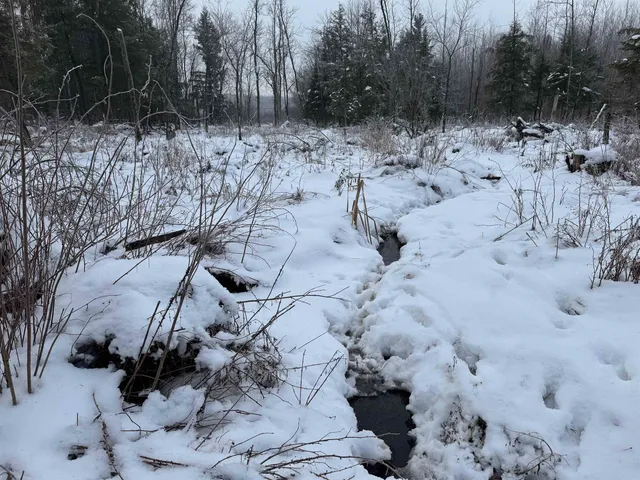 $1,250,000 | 4400 North Deer Lane, Mosinee, WI 54455