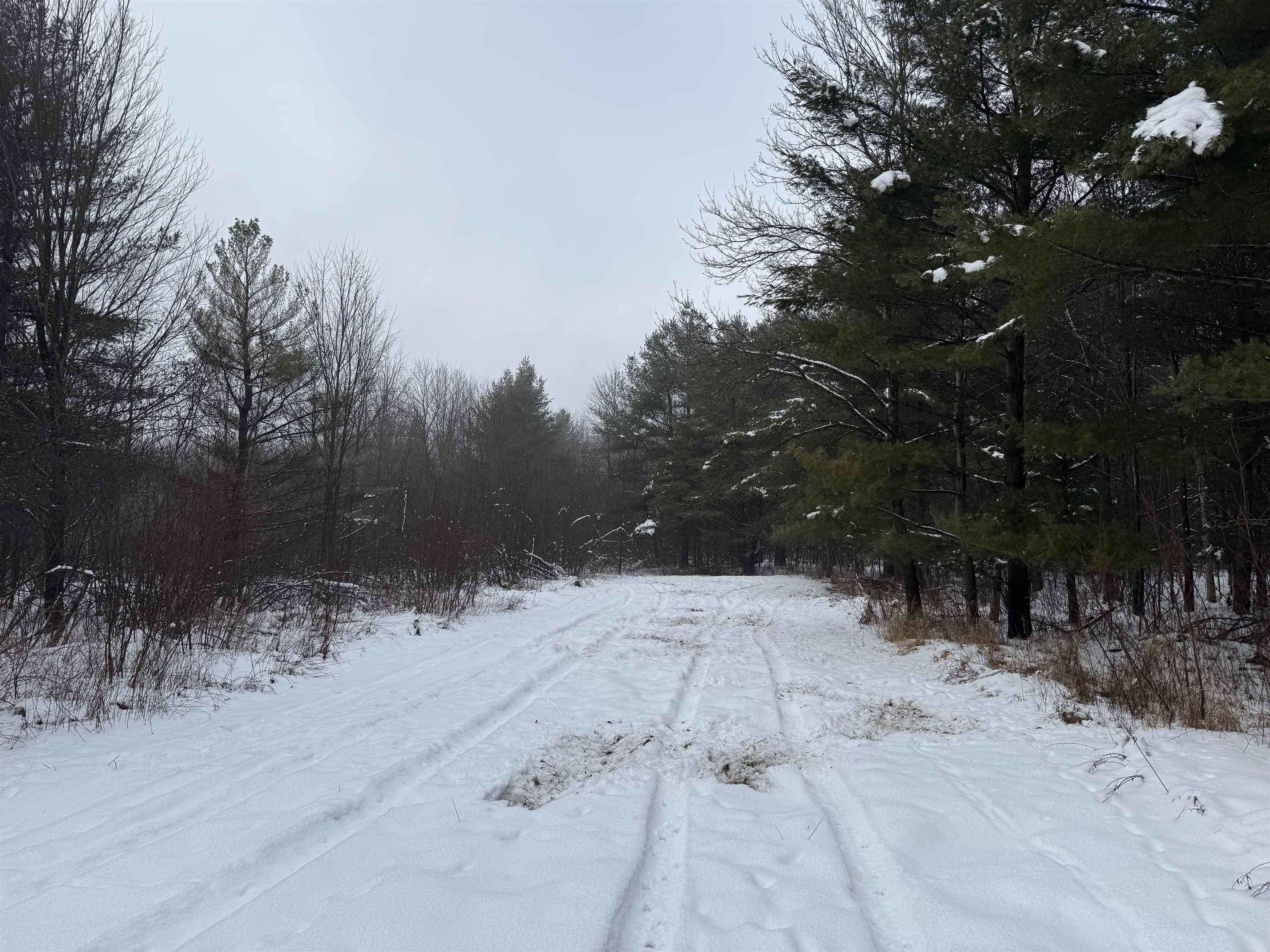 4400 North Deer Lane Mosinee, WI 54455 - Photo 30 of 79