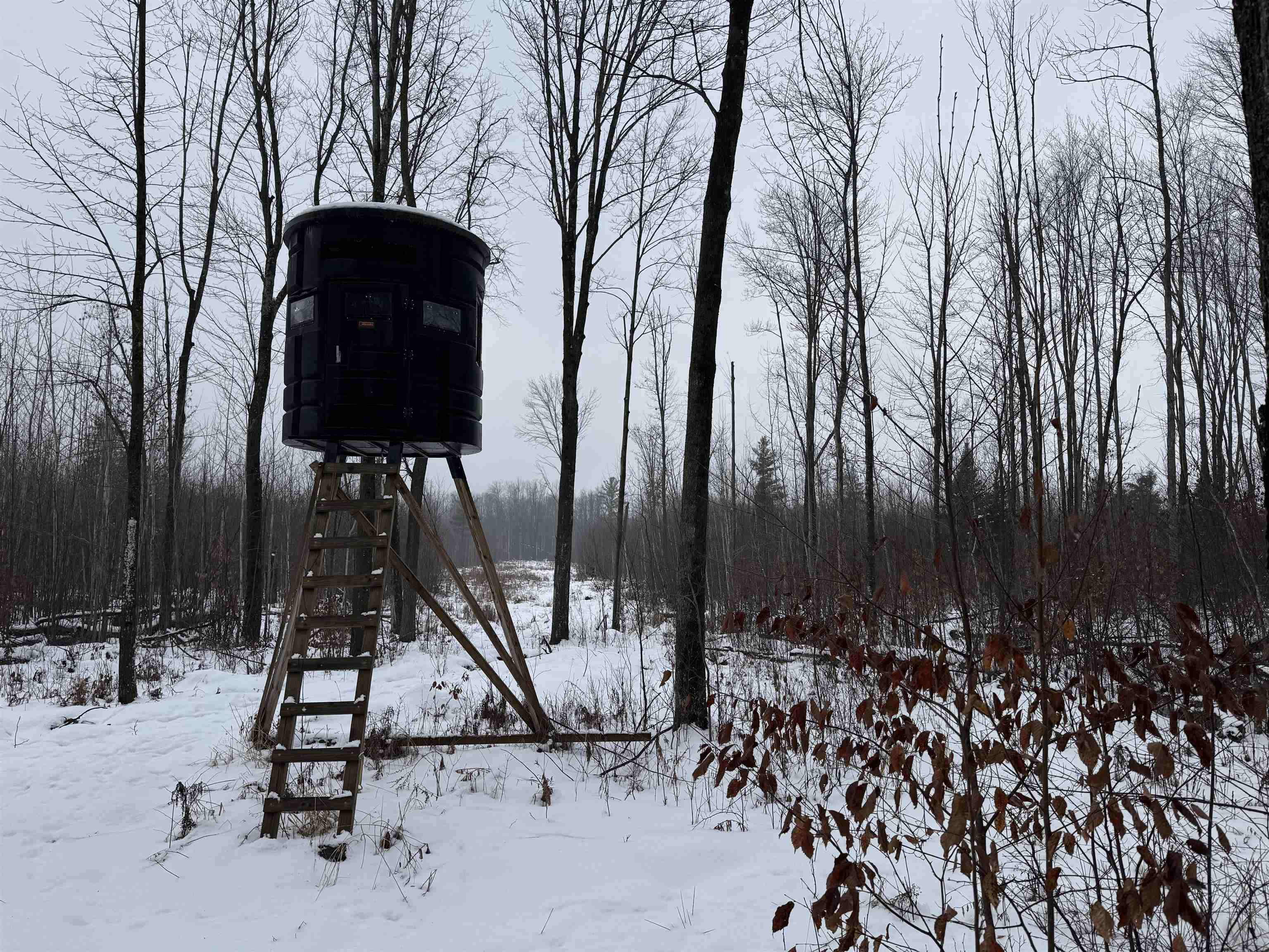 4400 North Deer Lane Mosinee, WI 54455 - Photo 3 of 79