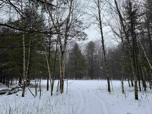 $1,250,000 | 4400 North Deer Lane, Mosinee, WI 54455