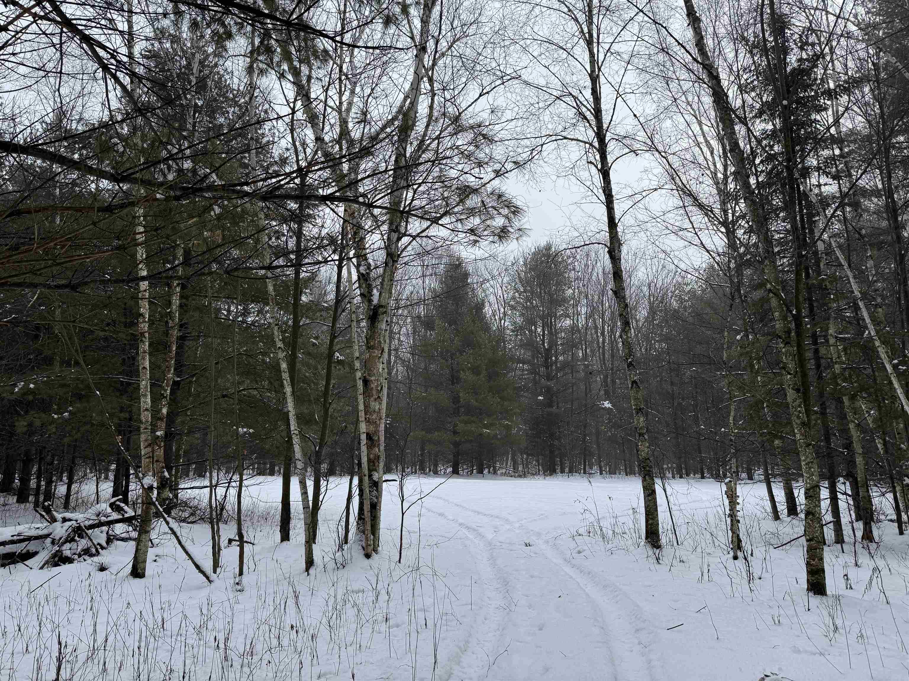 4400 North Deer Lane Mosinee, WI 54455 - Photo 31 of 79