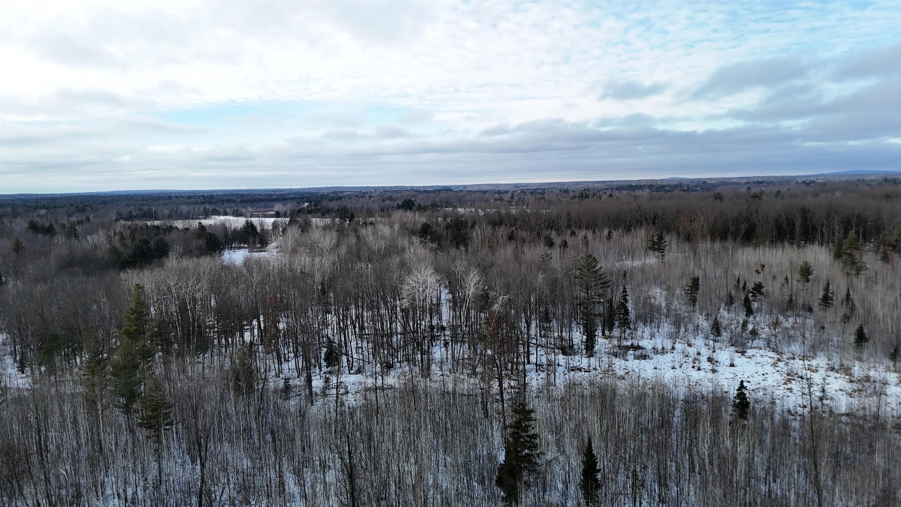 4400 North Deer Lane Mosinee, WI 54455 - Photo 33 of 79