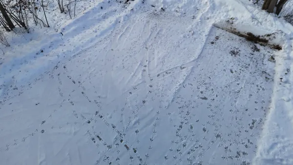 $1,200,000 | 4400 North Deer Lane, Mosinee, WI 54455