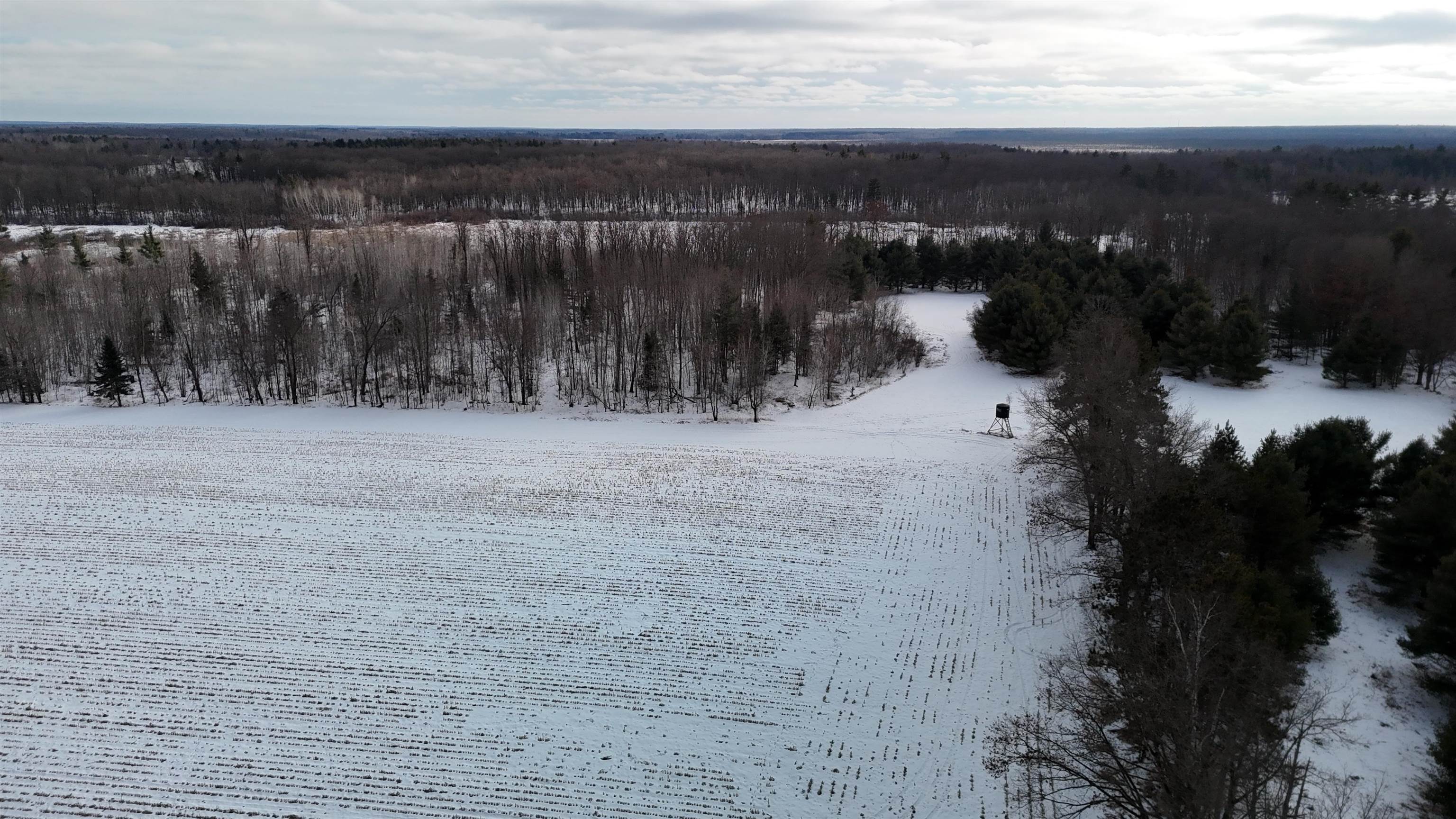 4400 North Deer Lane Mosinee, WI 54455 - Photo 36 of 79