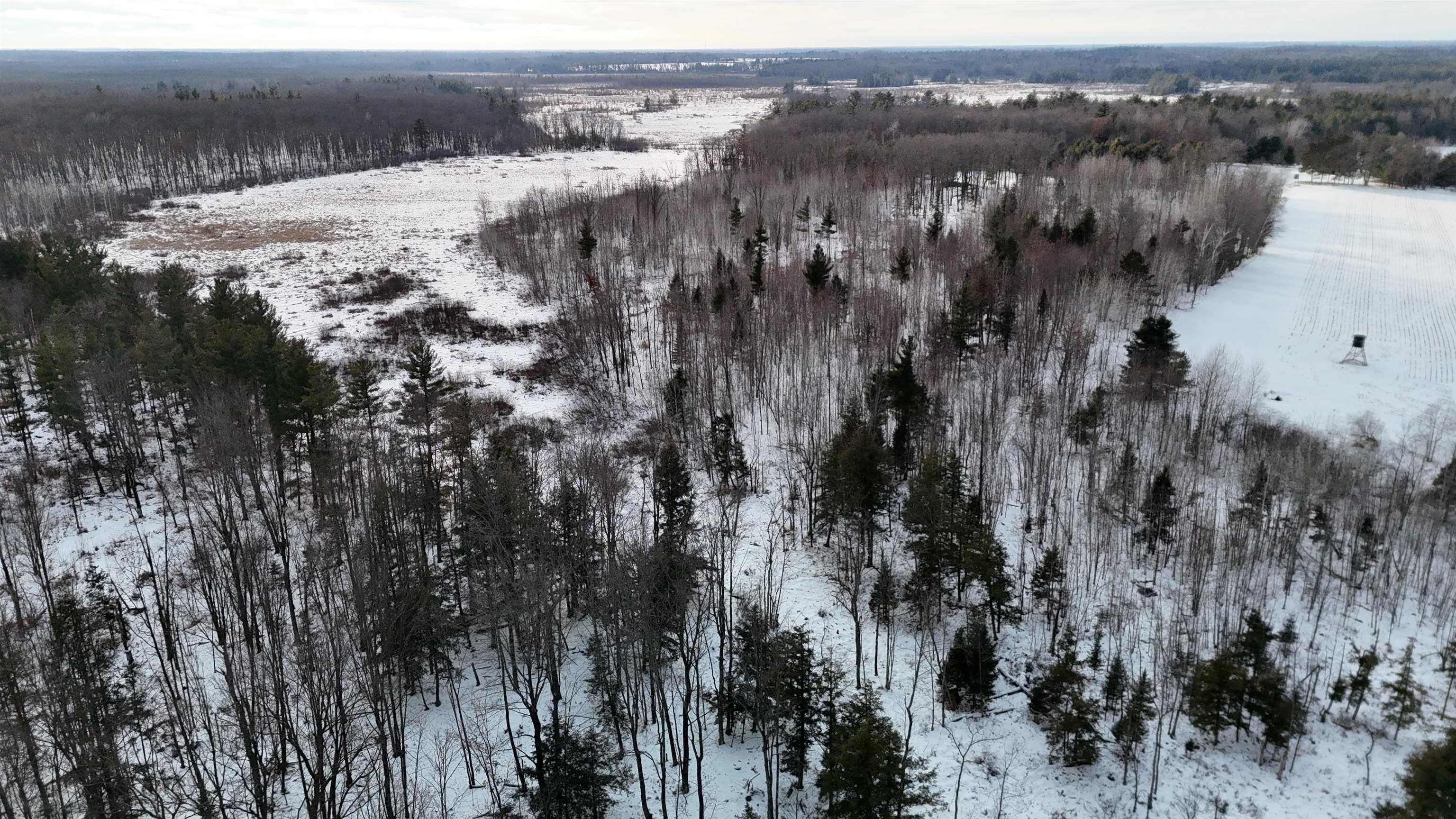 4400 North Deer Lane Mosinee, WI 54455 - Photo 38 of 79