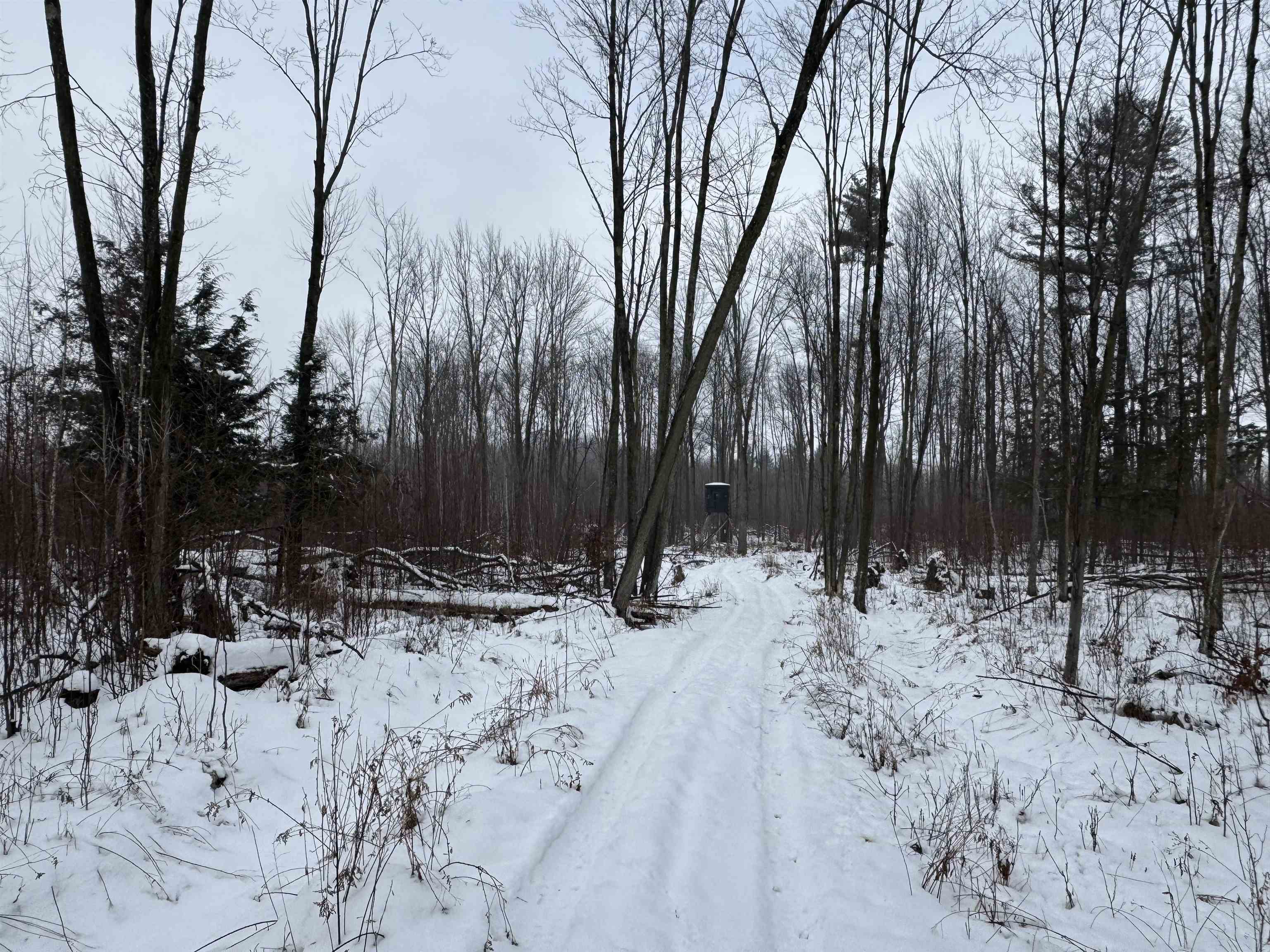 4400 North Deer Lane Mosinee, WI 54455 - Photo 40 of 79