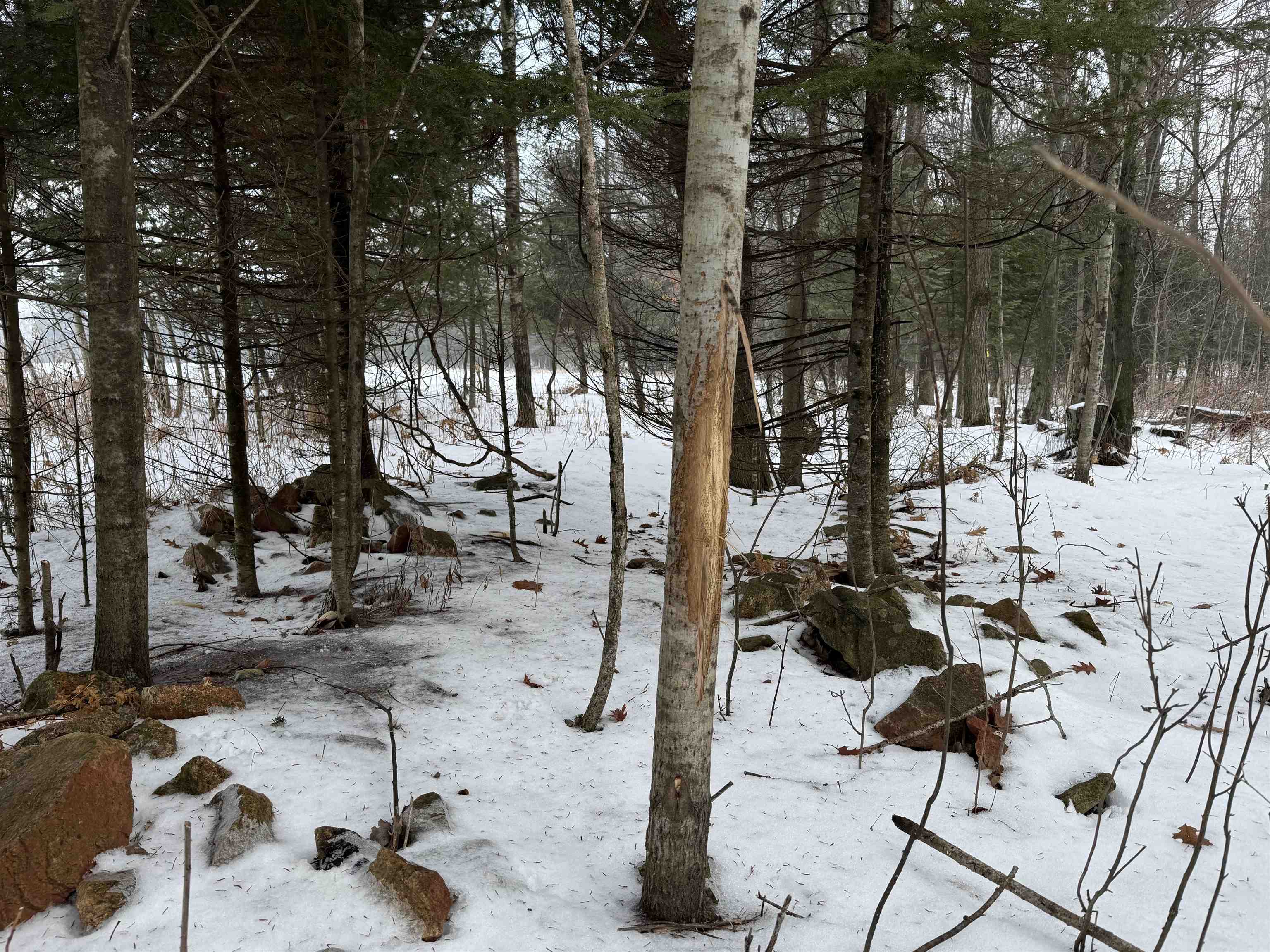 4400 North Deer Lane Mosinee, WI 54455 - Photo 41 of 79