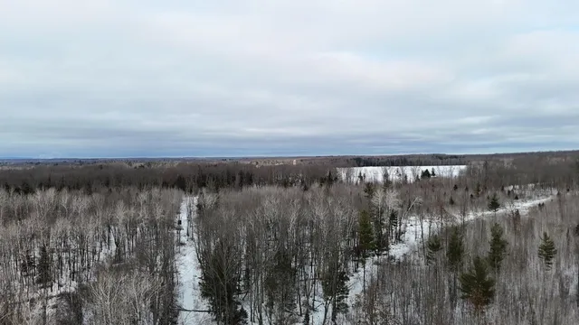 $1,250,000 | 4400 North Deer Lane, Mosinee, WI 54455