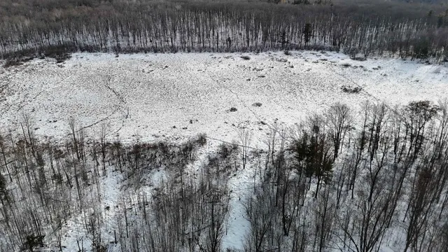 $1,250,000 | 4400 North Deer Lane, Mosinee, WI 54455