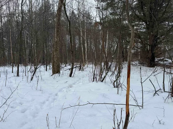 $1,200,000 | 4400 North Deer Lane, Mosinee, WI 54455